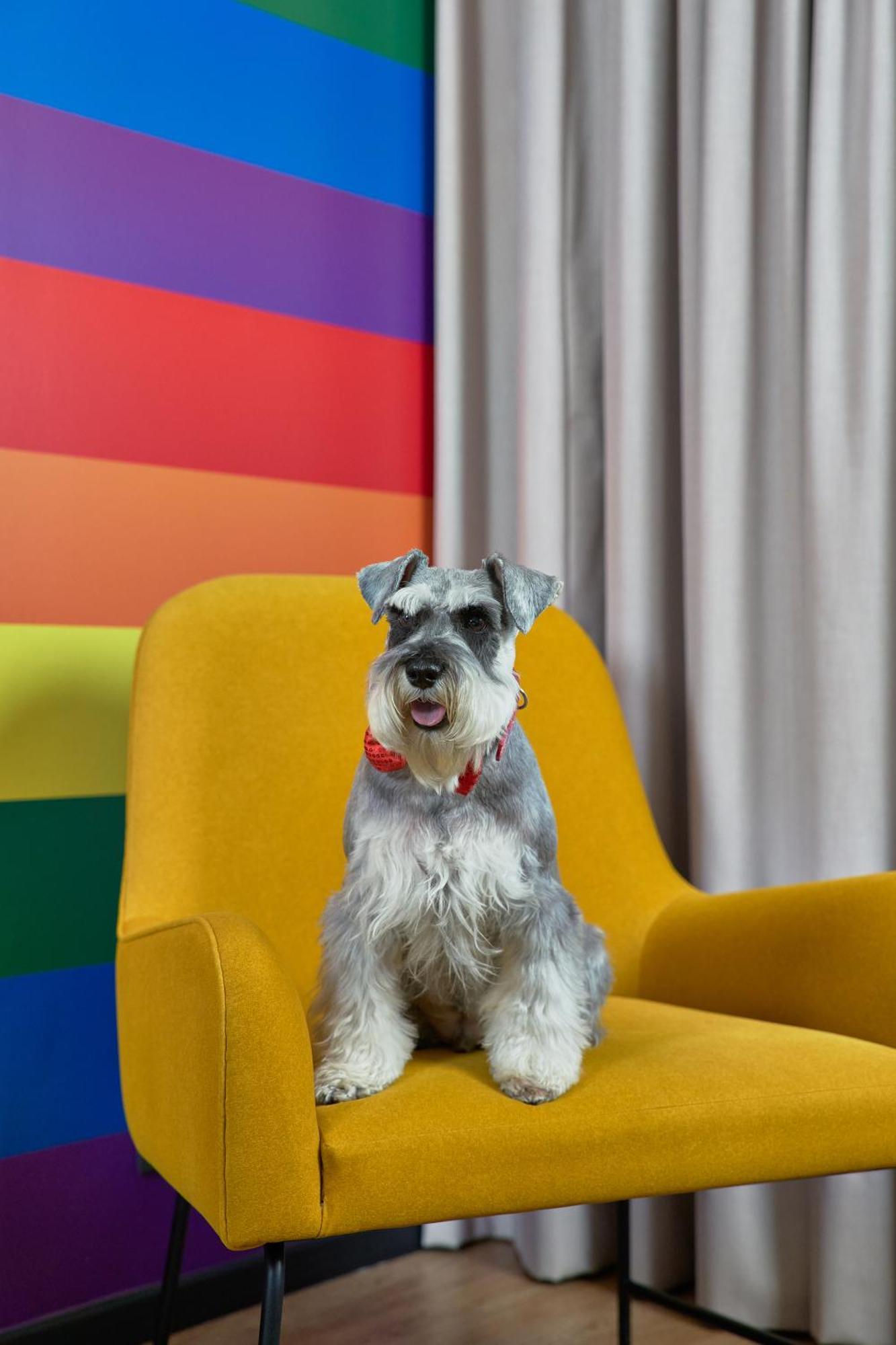 Pullman Santiago Vitacura Extérieur photo Schnauzer